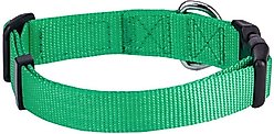 Blueberry Pet Classic Solid Nylon Dog Collar, Emerald, Small: 12 to 16-in neck, 5/8-in wide slide 2 of 5