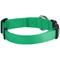 Show in main carousel: Blueberry Pet Classic Solid Nylon Dog Collar, Emerald, Small: 12 to 16-in neck, 5/8-in wide slide 2 of 7