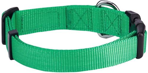 Show full view: Blueberry Pet Classic Solid Nylon Dog Collar, Emerald, Small: 12 to 16-in neck, 5/8-in wide slide 2 of 7