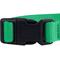 Show in main carousel: Blueberry Pet Classic Solid Nylon Dog Collar, Emerald, Small: 12 to 16-in neck, 5/8-in wide slide 3 of 7