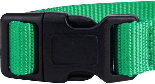 Show full view: Blueberry Pet Classic Solid Nylon Dog Collar, Emerald, Small: 12 to 16-in neck, 5/8-in wide slide 3 of 7