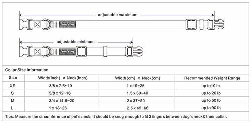 Show full view: Blueberry Pet Classic Solid Nylon Dog Collar, Emerald, Small: 12 to 16-in neck, 5/8-in wide slide 5 of 7