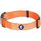 Show in main carousel: Blueberry Pet Classic Solid Nylon Dog Collar, Florence Orange, Large: 18 to 26-in neck, 1-in wide slide 1 of 8