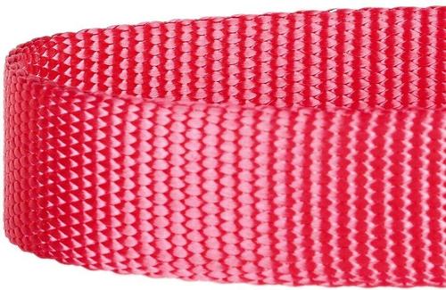 Show full view: Blueberry Pet Classic Solid Nylon Dog Collar, French Pink, Large: 18 to 26-in neck, 1-in wide slide 4 of 7