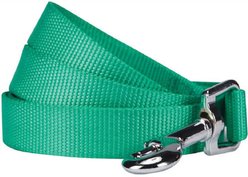Blueberry Pet Classic Solid Nylon Dog Leash, Emerald, Medium: 5-ft long, 3/4-in wide