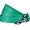 Show in main carousel: Blueberry Pet Classic Solid Nylon Dog Leash, Emerald, Medium: 5-ft long, 3/4-in wide slide 1 of 7