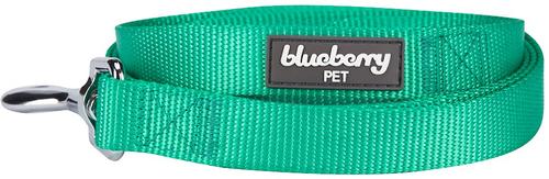 Show full view: Blueberry Pet Classic Solid Nylon Dog Leash, Emerald, Medium: 5-ft long, 3/4-in wide slide 2 of 7