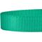 Show in main carousel: Blueberry Pet Classic Solid Nylon Dog Leash, Emerald, Medium: 5-ft long, 3/4-in wide slide 4 of 7