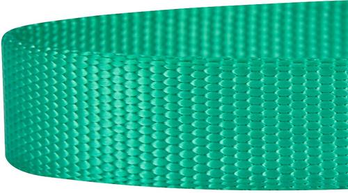 Show full view: Blueberry Pet Classic Solid Nylon Dog Leash, Emerald, Medium: 5-ft long, 3/4-in wide slide 4 of 7