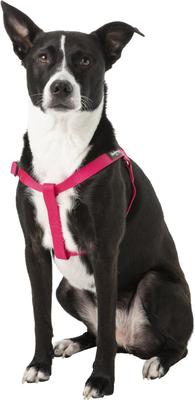 Show full view: Blueberry Pet Classic Solid Nylon Step In Back Clip Dog Harness, French Pink, Medium: 20 to 26-in chest slide 3 of 9