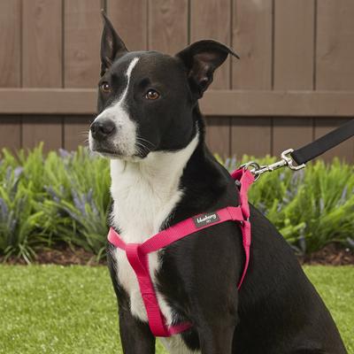 Show full view: Blueberry Pet Classic Solid Nylon Step In Back Clip Dog Harness, French Pink, Medium: 20 to 26-in chest slide 5 of 9