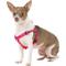 Show in main carousel: Blueberry Pet Classic Solid Nylon Step In Back Clip Dog Harness, French Pink, Small: 16.5 to 21.5-in chest slide 3 of 9