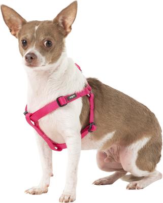 Show full view: Blueberry Pet Classic Solid Nylon Step In Back Clip Dog Harness, French Pink, Small: 16.5 to 21.5-in chest slide 3 of 9