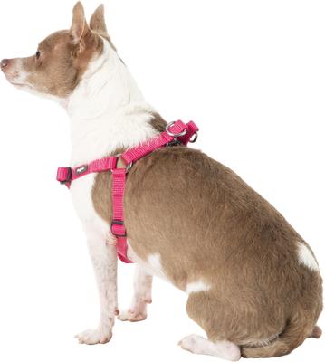 Show full view: Blueberry Pet Classic Solid Nylon Step In Back Clip Dog Harness, French Pink, Small: 16.5 to 21.5-in chest slide 4 of 9