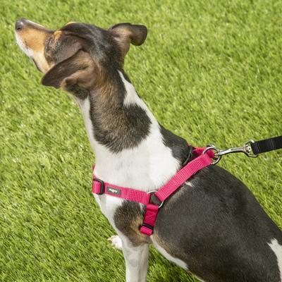 Show full view: Blueberry Pet Classic Solid Nylon Step In Back Clip Dog Harness, French Pink, Small: 16.5 to 21.5-in chest slide 6 of 9