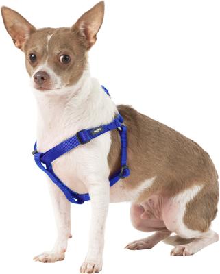 Show full view: Blueberry Pet Classic Solid Nylon Step In Back Clip Dog Harness, Royal Blue, Small: 16.5 to 21.5-in chest slide 4 of 10