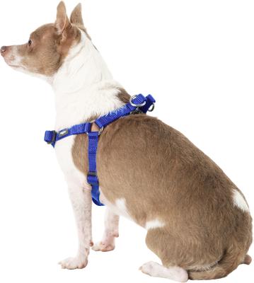 Show full view: Blueberry Pet Classic Solid Nylon Step In Back Clip Dog Harness, Royal Blue, Small: 16.5 to 21.5-in chest slide 5 of 10