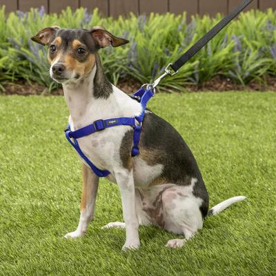 Show full view: Blueberry Pet Classic Solid Nylon Step In Back Clip Dog Harness, Royal Blue, Small: 16.5 to 21.5-in chest slide 6 of 10