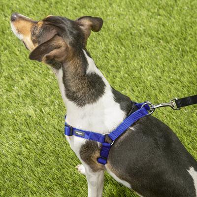 Show full view: Blueberry Pet Classic Solid Nylon Step In Back Clip Dog Harness, Royal Blue, Small: 16.5 to 21.5-in chest slide 7 of 10