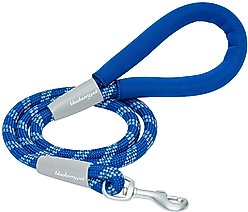Blueberry Pet Durable Diagonal Striped Rope Polyester Dog Leash, 4-ft long, 1/2-in wide, Blue
