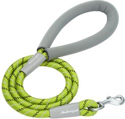 Blueberry Pet Durable Diagonal Striped Rope Polyester Dog Leash, 4-ft long, 1/2-in wide, Lime Green