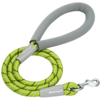 Blueberry Pet Blueberry Pet Durable Diagonal Striped Rope Polyester Dog Leash, 4-ft long, 1/2-in wide, Lime Green