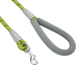 Blueberry Pet Durable Diagonal Striped Rope Polyester Dog Leash, 4-ft long, 1/2-in wide, Lime Green slide 2 of 2
