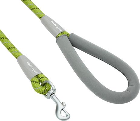 Show full view: Blueberry Pet Durable Diagonal Striped Rope Polyester Dog Leash, 4-ft long, 1/2-in wide, Lime Green slide 2 of 2