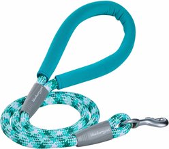Blueberry Pet Durable Diagonal Striped Rope Polyester Dog Leash, 4-ft long, 1/2-in wide, Mint Blue