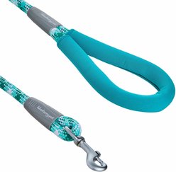 Blueberry Pet Durable Diagonal Striped Rope Polyester Dog Leash, 4-ft long, 1/2-in wide, Mint Blue slide 2 of 2