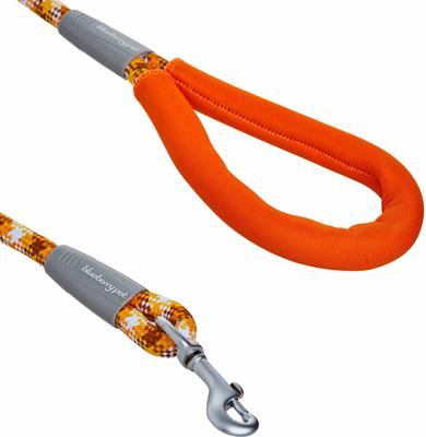 Show full view: Blueberry Pet Durable Diagonal Striped Rope Polyester Dog Leash, 4-ft long, 1/2-in wide, Orange slide 2 of 2
