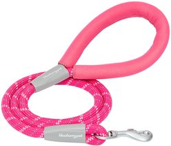 Blueberry Pet Durable Diagonal Striped Rope Polyester Dog Leash, 4-ft long, 1/2-in wide, Pink