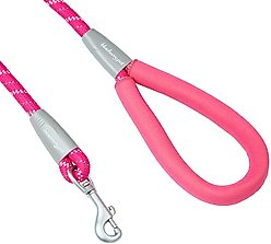 Blueberry Pet Durable Diagonal Striped Rope Polyester Dog Leash, 4-ft long, 1/2-in wide, Pink slide 2 of 2
