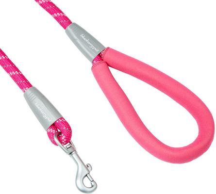 Show full view: Blueberry Pet Durable Diagonal Striped Rope Polyester Dog Leash, 4-ft long, 1/2-in wide, Pink slide 3 of 3