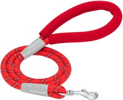 Blueberry Pet Durable Diagonal Striped Rope Polyester Dog Leash, 4-ft long, 1/2-in wide, Red