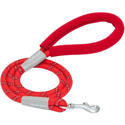 Blueberry Pet Blueberry Pet Durable Diagonal Striped Rope Polyester Dog Leash, 4-ft long, 1/2-in wide, Red