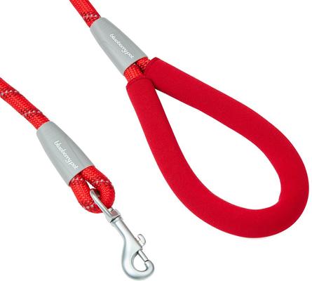 Show full view: Blueberry Pet Durable Diagonal Striped Rope Polyester Dog Leash, 4-ft long, 1/2-in wide, Red slide 2 of 2