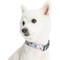 Show in main carousel: Blueberry Pet Essentials Garden Floral Personalized Dog Collar, Pastel Blue, Large: 18 to 26-in neck, 1-in wide slide 2 of 6