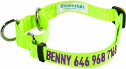 Blueberry Pet Essentials Safety Training Personalized Martingale Dog Collar, Neon Yellow, Large: 18 to 26-in neck, 1-in wide