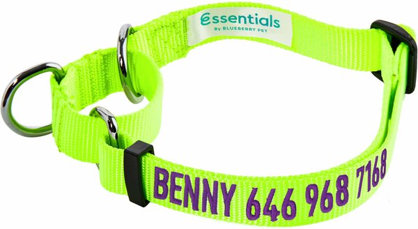 Show full view: Blueberry Pet Essentials Safety Training Personalized Martingale Dog Collar, Neon Yellow, Medium: 14.5 to 20-in neck 3/4-in wide slide 1 of 6