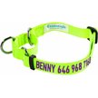 Show in main carousel: Blueberry Pet Essentials Safety Training Personalized Martingale Dog Collar, Neon Yellow, Medium: 14.5 to 20-in neck 3/4-in wide slide 1 of 6