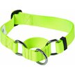 Show in main carousel: Blueberry Pet Essentials Safety Training Personalized Martingale Dog Collar, Neon Yellow, Medium: 14.5 to 20-in neck 3/4-in wide slide 2 of 6