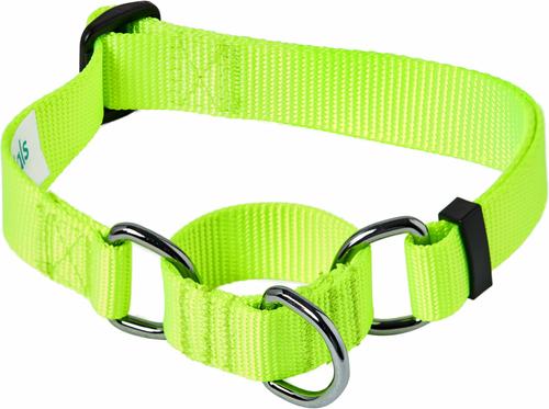 Show full view: Blueberry Pet Essentials Safety Training Personalized Martingale Dog Collar, Neon Yellow, Medium: 14.5 to 20-in neck 3/4-in wide slide 3 of 7