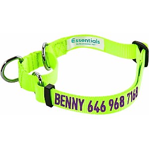 Blueberry Pet Essentials Safety Training Personalized Martingale Dog Collar, Neon Yellow, Small: 12 to 16-in neck, 5/8-in wide