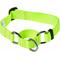 Show in main carousel: Blueberry Pet Essentials Safety Training Personalized Martingale Dog Collar, Neon Yellow, Small: 12 to 16-in neck, 5/8-in wide slide 3 of 7