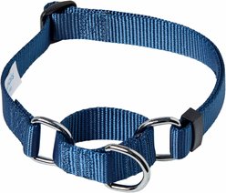 Blueberry Pet Essentials Safety Training Personalized Martingale Dog Collar, True Navy, Large: 18 to 26-in neck, 1-in wide slide 2 of 5