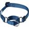 Show in main carousel: Blueberry Pet Essentials Safety Training Personalized Martingale Dog Collar, True Navy, Small: 12 to 16-in neck, 5/8-in wide slide 2 of 6
