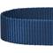 Show in main carousel: Blueberry Pet Essentials Safety Training Personalized Martingale Dog Collar, True Navy, Small: 12 to 16-in neck, 5/8-in wide slide 3 of 6