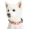 Show in main carousel: Blueberry Pet Essentials Spring Scent Inspired Garden Floral Adjustable Dog Collar, Baby Pink, Large: 18 to 26-in neck slide 2 of 6