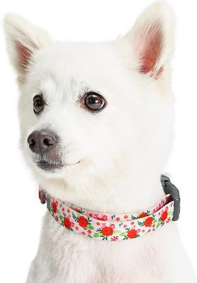 Show full view: Blueberry Pet Essentials Spring Scent Inspired Garden Floral Adjustable Dog Collar, Baby Pink, Small: 12 to 16-in neck slide 2 of 6